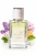 Zanetti Profumo 151 - perfumy damskie kwiatowo - owocowe.webp